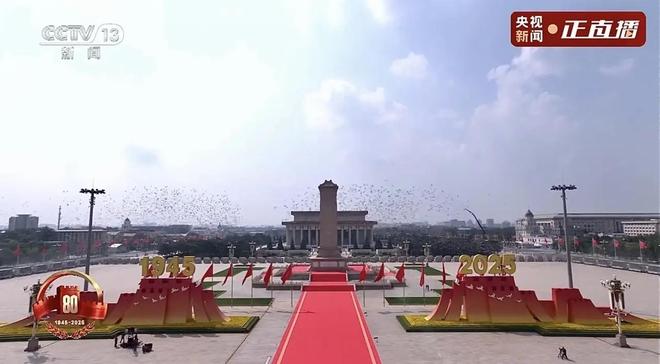 的关在特殊笼子放飞有的已经到家了瓦力棋牌8万羽和平鸽都是“借来”(图2)